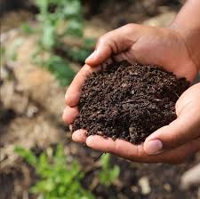 Soil suitability